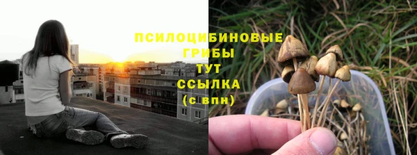 спайс Медвежьегорск