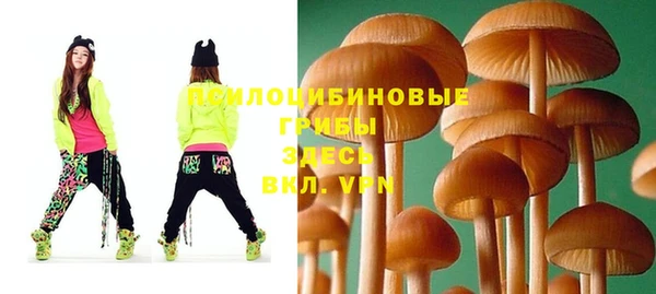 бошки Магас