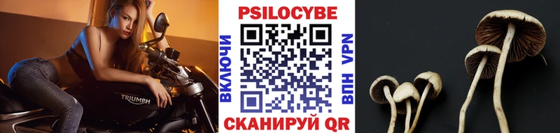 Галлюциногенные грибы мухоморы  Купить закладки  Невьянск 